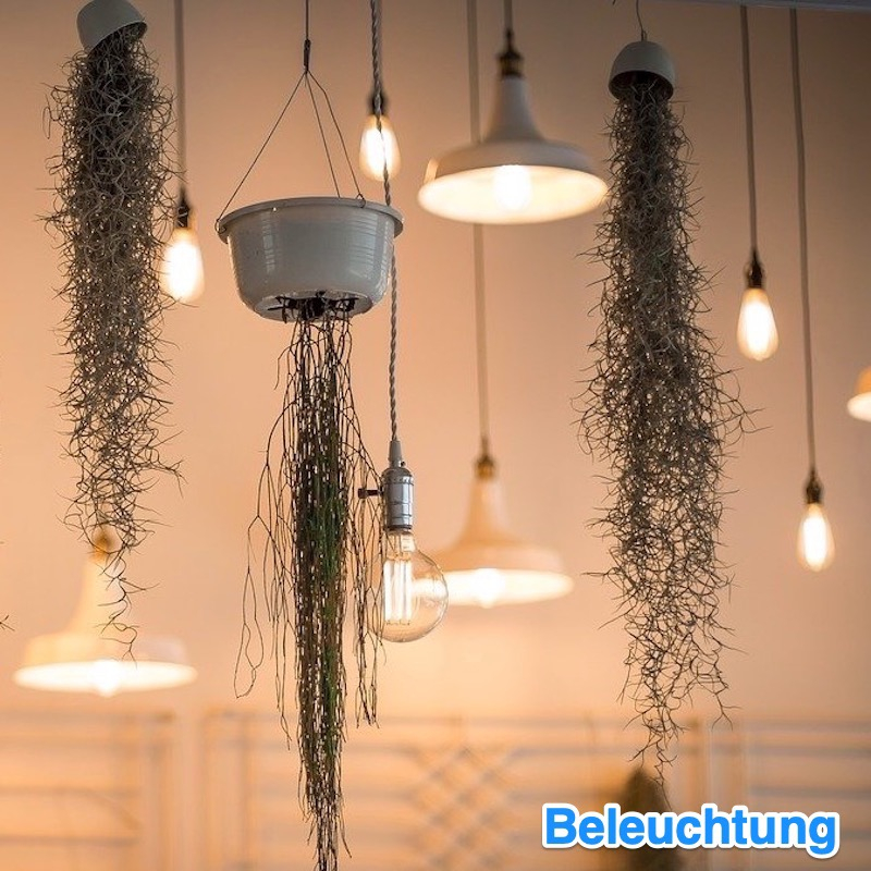 Aussergewöhnliche Leuchten 